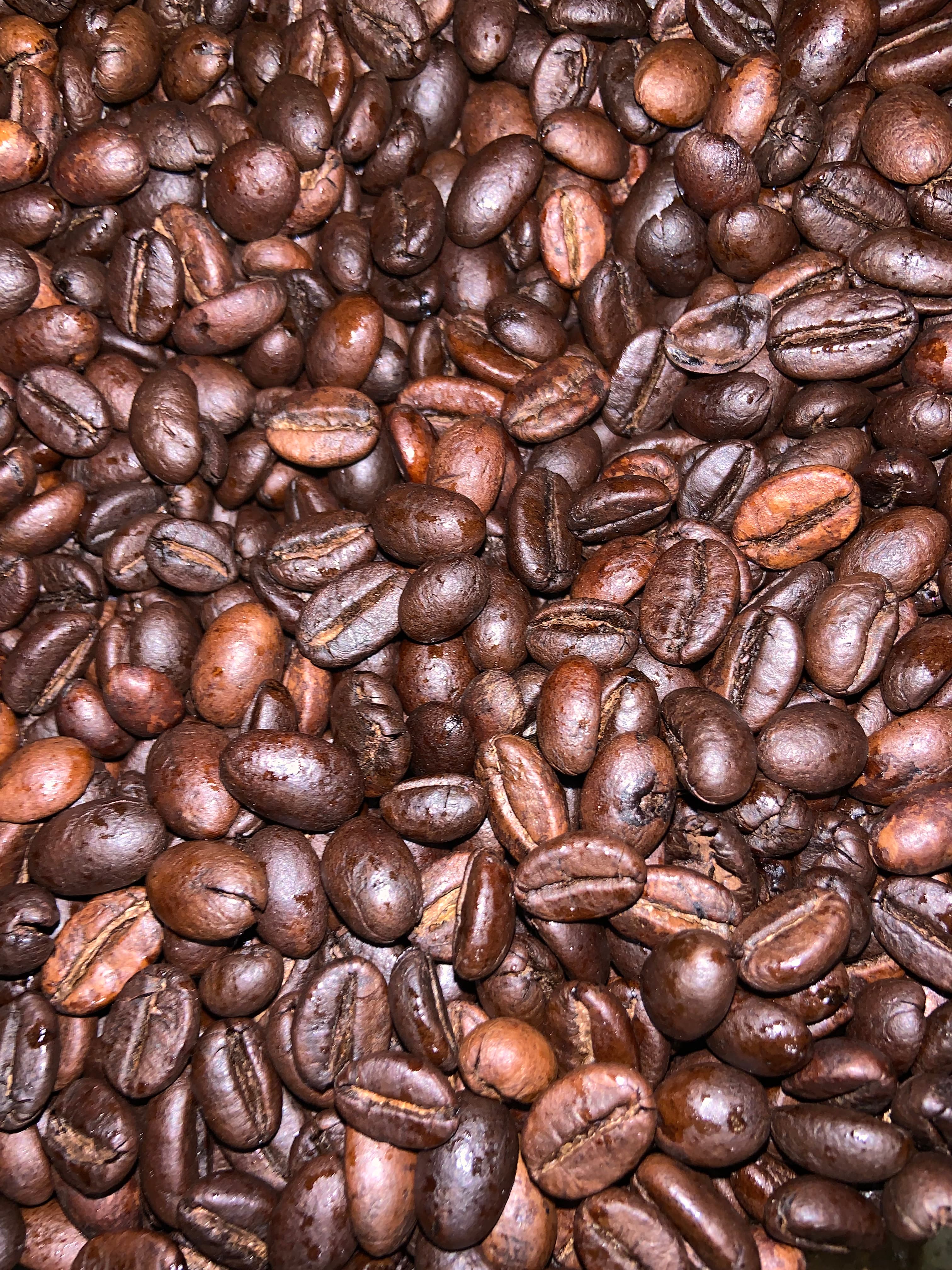 Biji kopi sangrai segar dari roastery Pinto